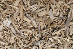 biomass boilers Plush