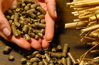 free Plush biomass boiler quotes