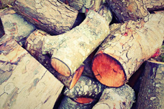 Plush wood burning boiler costs